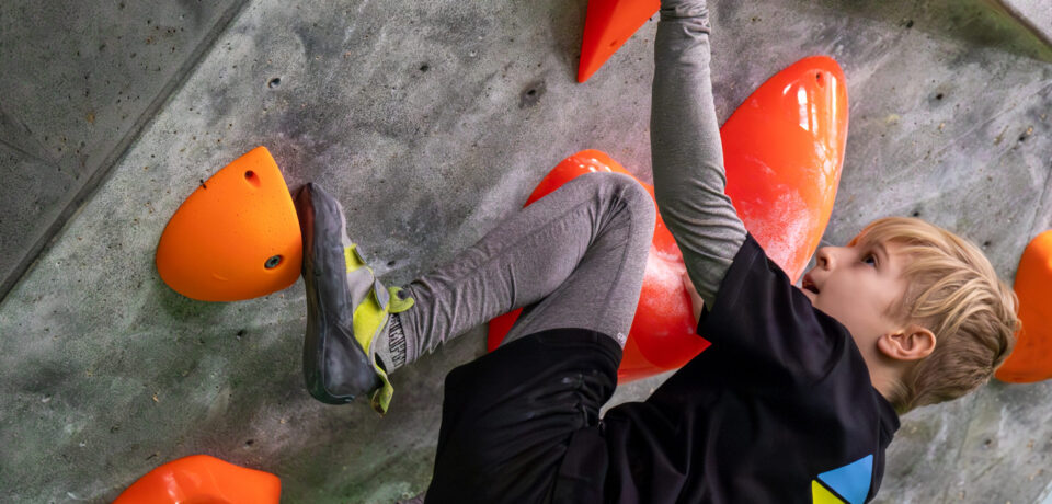 0821ad69-496e-4e87-8440-1bc3719345a4