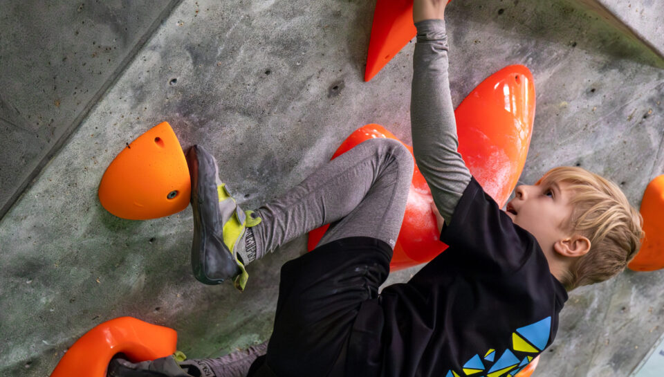 0821ad69-496e-4e87-8440-1bc3719345a4