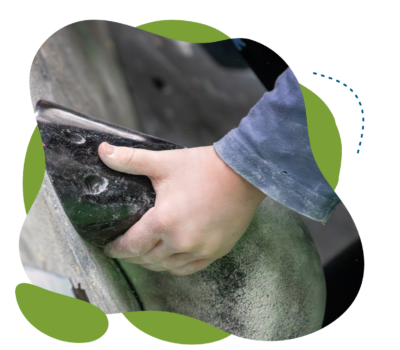 profi_amator_falmaszo_versenyek