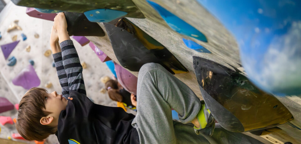 4d6af744-4b10-42af-9691-00171487edaa