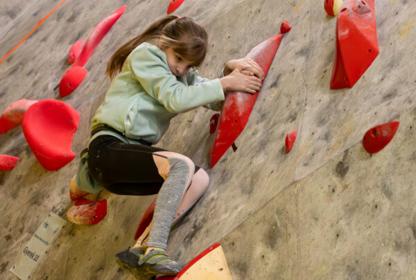 e6d9c4ff-2c60-48d9-b551-ec6a824cfa4d e6d9c4ff-2c60-48d9-b551-ec6a824cfa4d