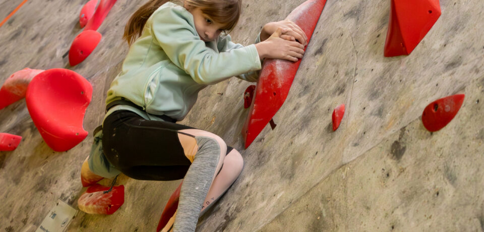 e6d9c4ff-2c60-48d9-b551-ec6a824cfa4d