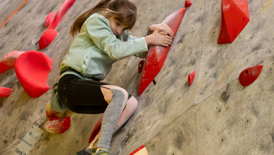 e6d9c4ff-2c60-48d9-b551-ec6a824cfa4d